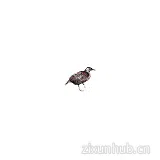 Weka3:Java机器学习软件 Weka3:Java机器学习软件